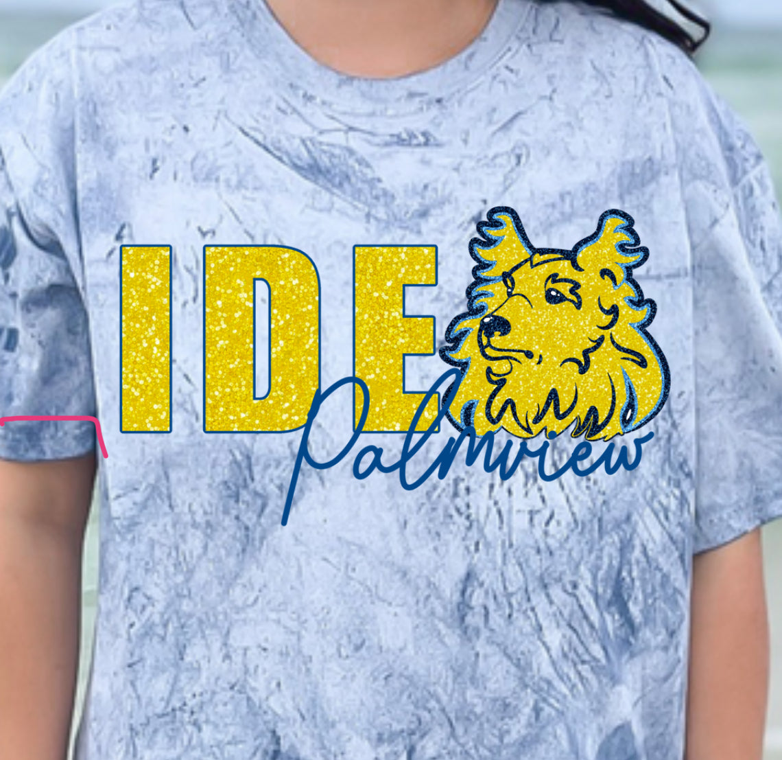 IDEA Schools Spirit Tshirt