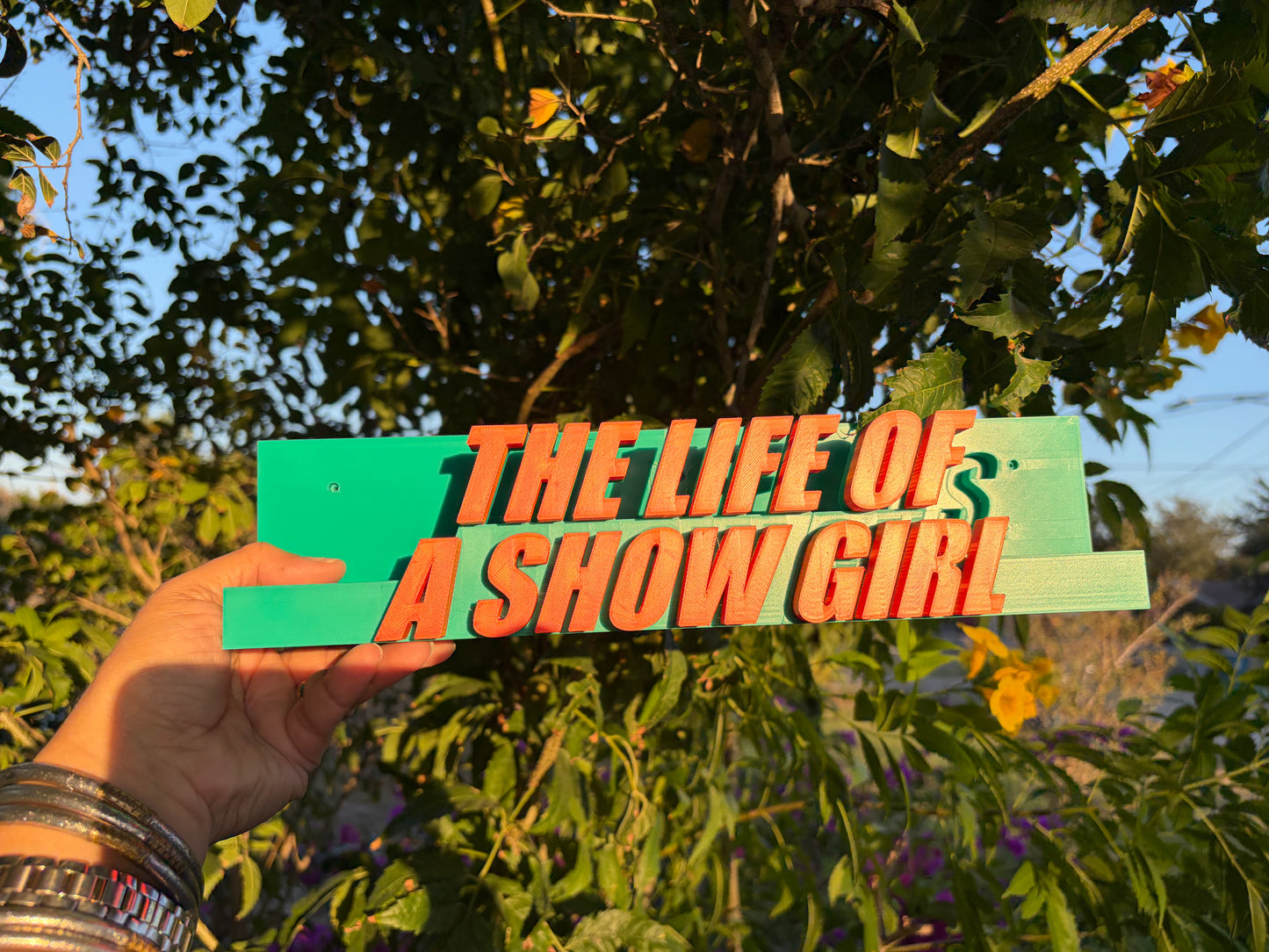 Showgirl Vinyl Holder